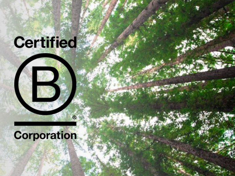 Lazzerini is B-Corp certified